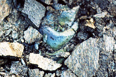 lava.jpg